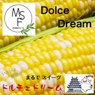 とうもろこし(ドルチェドリーム)   約4Kg(8本〜12本)(野菜)