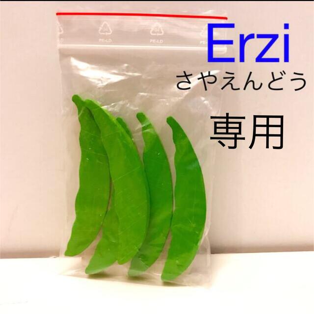 eriii 様専用 キッズ/ベビー/マタニティのおもちゃ(その他)の商品写真