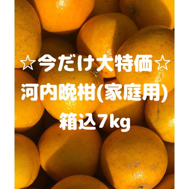 愛媛県産 家庭用 河内晩柑 箱込7kg 柑橘 みかん 果物 食品/飲料/酒の食品(フルーツ)の商品写真