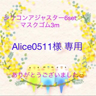 Alice0511様　専用(各種パーツ)