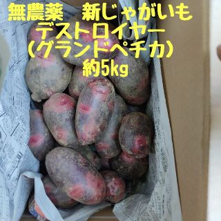 無農薬　新じゃがいも　デストロイヤー　約5kg(野菜)