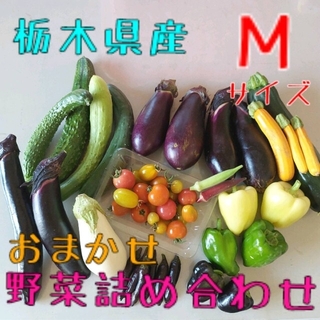 野菜おまかせ詰め合わせBOX【Ｍ】(野菜)