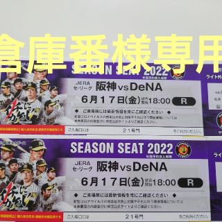 ハンシンタイガース(阪神タイガース)の阪神タイガースチケット  6/17Dena戦(野球)