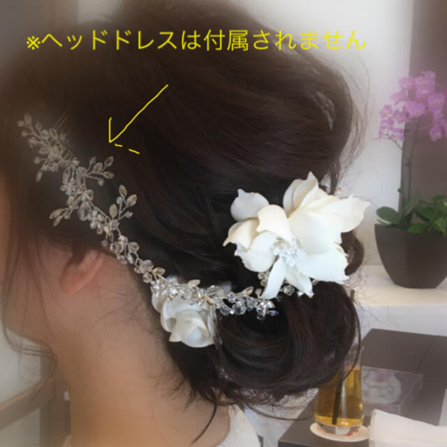 AIMER(エメ)のヘアクリップ　AIMER レディースのヘアアクセサリー(バレッタ/ヘアクリップ)の商品写真