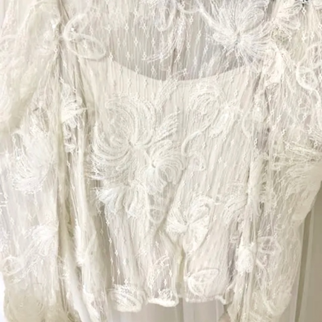 Ameri VINTAGE(アメリヴィンテージ)のUNDRESSED 2WAY FAIRY LACE BLOUSE レディースのトップス(シャツ/ブラウス(長袖/七分))の商品写真