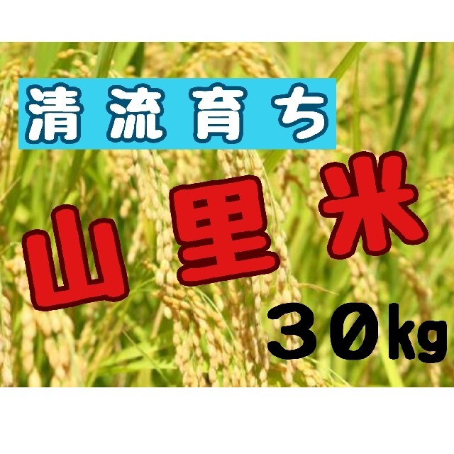 清流育ち 山里米 玄米30kg(令和3年産)