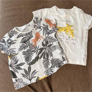 ネクスト(NEXT)のnext baby★Tシャツ2枚セット(Ｔシャツ)