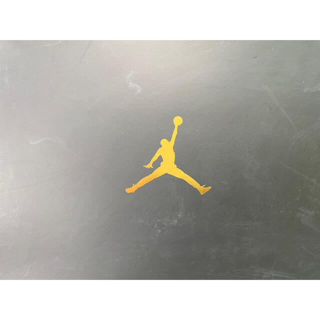 NIKE(ナイキ)のOVO × Nike Air Jordan 10 Retro Drake メンズの靴/シューズ(スニーカー)の商品写真
