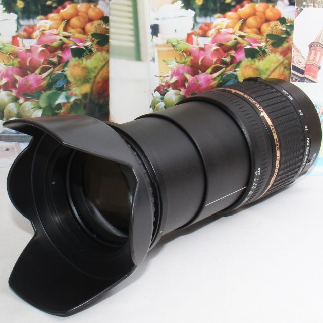 ✨手ぶれ補正内蔵の神レンズ✨❤️タムロン 28-300mm VC キャノン用