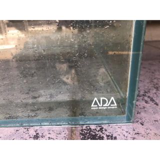 アクアデザインアマノ(Aqua Design Amano)のADA 120×45×45水槽(アクアリウム)