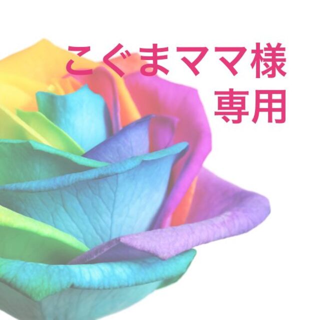 こぐまさま専用 | www.jarussi.com.br