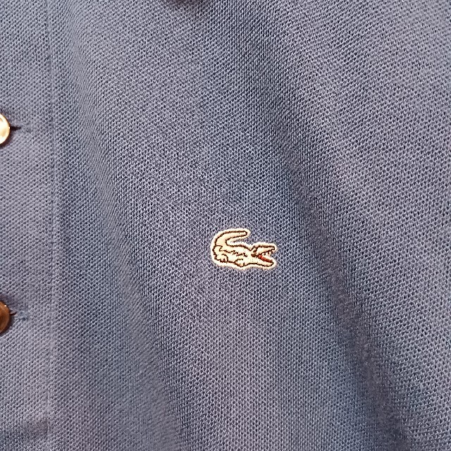 LACOSTE(ラコステ)の✨人気✨ LACOSTE(ラコステ) レディース ポロシャツ 2(XS) 夏 レディースのトップス(ポロシャツ)の商品写真