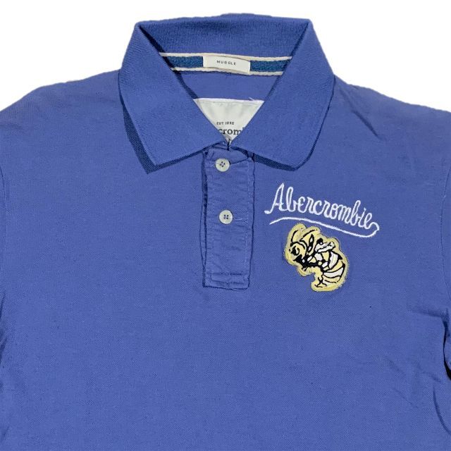 Abercrombie&Fitch(アバクロンビーアンドフィッチ)のアバクロンビーアンドフィッチ ST DIV 半袖 ポロシャツ L メンズのトップス(ポロシャツ)の商品写真