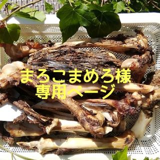 まろこまめろ様専用ページ(犬)