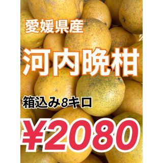 0610①愛媛県産河内晩柑 箱込み8キロ 訳あり(フルーツ)