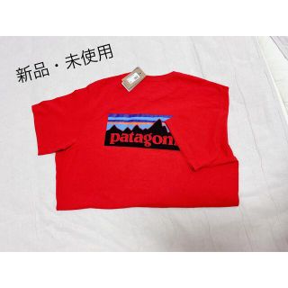 パタゴニア(patagonia)のパタゴニア　Tシャツ(Tシャツ/カットソー(半袖/袖なし))