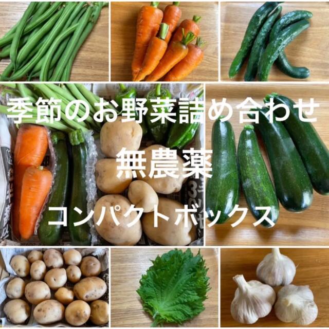 季節のお野菜詰め合わせ 無農薬 コンパクトボックス 愛媛県産 食品/飲料/酒の食品(野菜)の商品写真