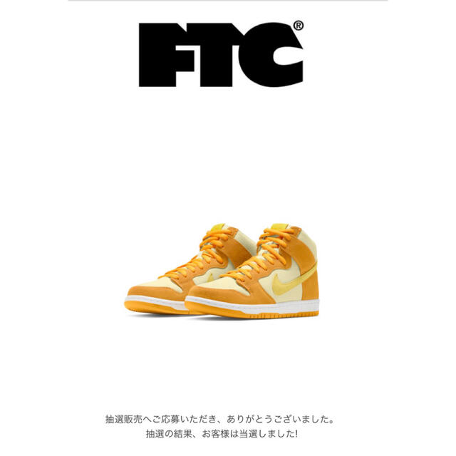 pineapple nike dunk sb 26.5cm us8.5 正規品