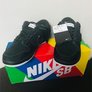 ナイキ(NIKE)のGnarhunters × Nike SB Dunk Low 25cm(スニーカー)