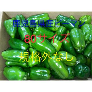 鹿児島県産ピーマン80サイズ(野菜)