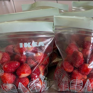 北海道産 冷凍いちご 無農薬 1.7kg 送料込 フルーツ ふるさと 果物(フルーツ)