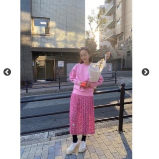 rosy Monster  新品　florets pleats skirt S(ロングスカート)