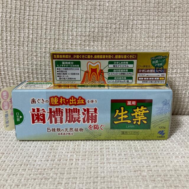 小林製薬(コバヤシセイヤク)の歯磨き　生葉　　小林製薬 コスメ/美容のオーラルケア(歯磨き粉)の商品写真