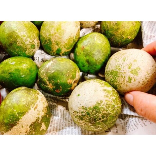 レア!魅惑のフルーツ!沖縄産ホワイトサポテ小玉コンパクトにぎっしり1kg 食品/飲料/酒の食品(フルーツ)の商品写真