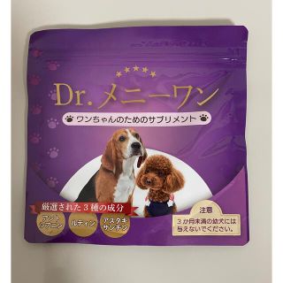 Drメニーワン(犬)