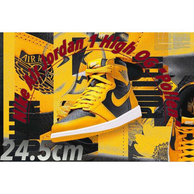 【即完売】Nike Air Jordan 1 High OG Pollenパラン