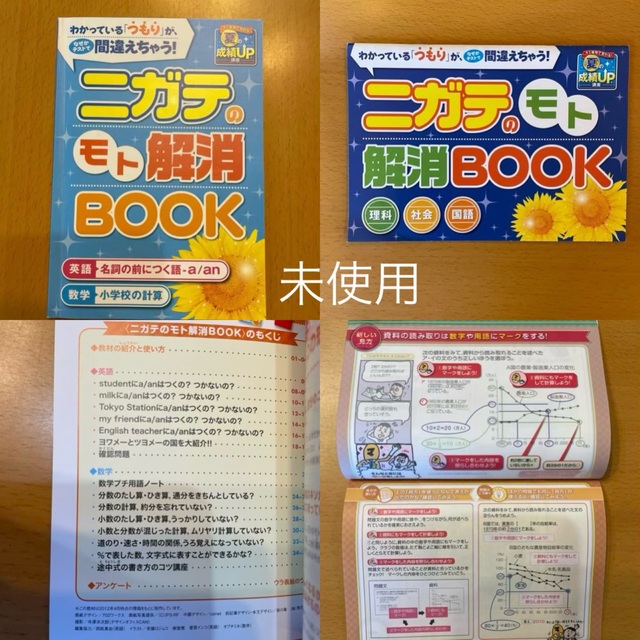 Benesse(ベネッセ)の中１進研ゼミ　暗記BOOK 要点復習  ニガテのモト解消BOOK  国語文法事典 エンタメ/ホビーの本(語学/参考書)の商品写真