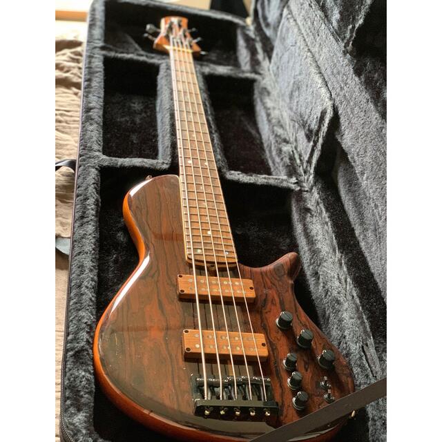 dragonfly custom bass 5st