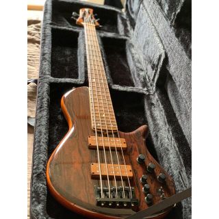 dragonfly custom bass 5st(エレキベース)