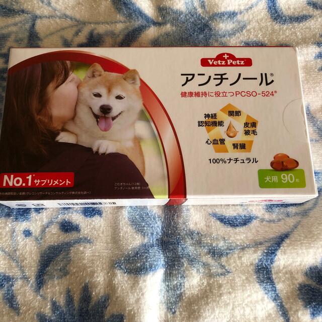 アンチノール　犬用　90粒