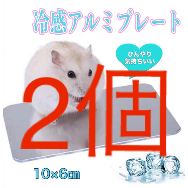 2021春夏新色】 冷感アルミプレート 10×6cm 2個 小動物 熱中症対策 ハムスター ペット 冷感アルミプレート 10×6cm 2個 小動物 熱中症対策 ハムスター ペット