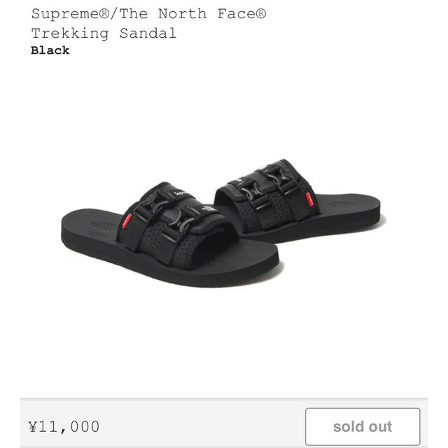 Supreme®/The North Face® Trekking Sandal