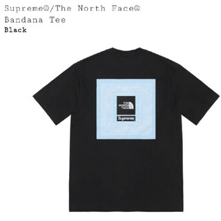 シュプリーム(Supreme)のSupreme®/The North Face® Bandana Tee(Tシャツ/カットソー(半袖/袖なし))
