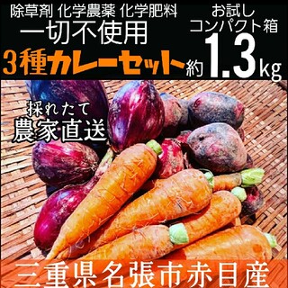 三重県名張市赤目産 除草剤化学肥料化学農薬一切不使用カレーセット野菜♪1.3kg(野菜)