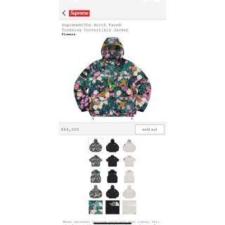 シュプリーム(Supreme)のsupreme the north face(ブルゾン)