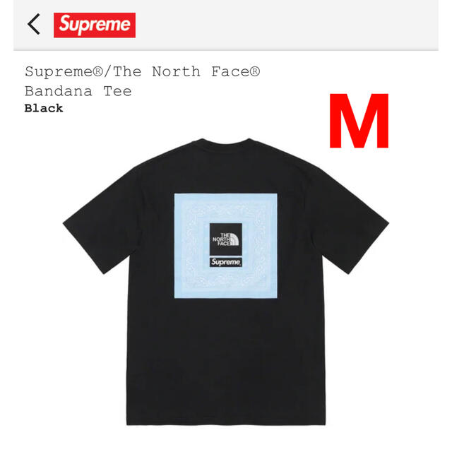 トップスSupreme North Face Bandana シュプリーム ノース