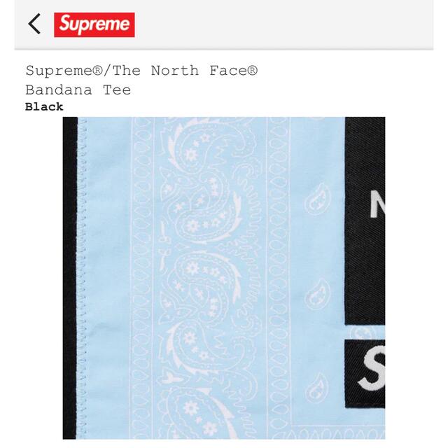 Supreme North Face Bandana シュプリーム ノース