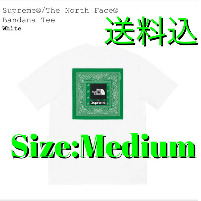 トップスSupreme®/The North Face®  Bandana Tee