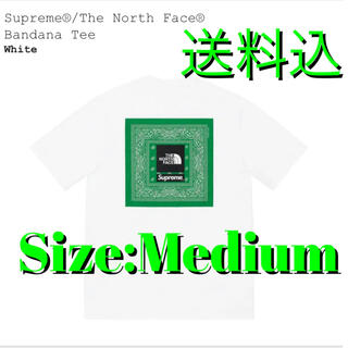 シュプリーム(Supreme)のSupreme®/The North Face®  Bandana Tee(Tシャツ/カットソー(半袖/袖なし))