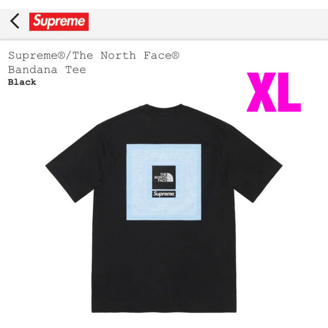 Supreme North Face Bandana Tee Black XL