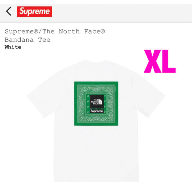 Supreme North Face Bandana Tee white XL