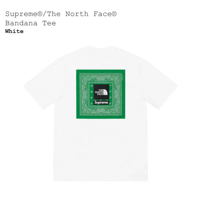 Supreme®/The North Face® Bandana Teeメンズ