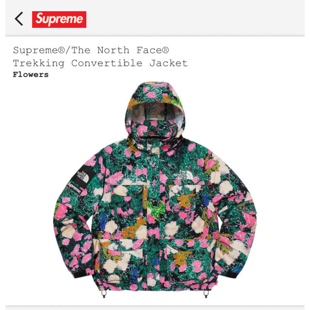 マウンテンパーカーSupreme The North Face Trekking Jacket L