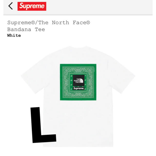 メンズSupreme The north face Bandana tee