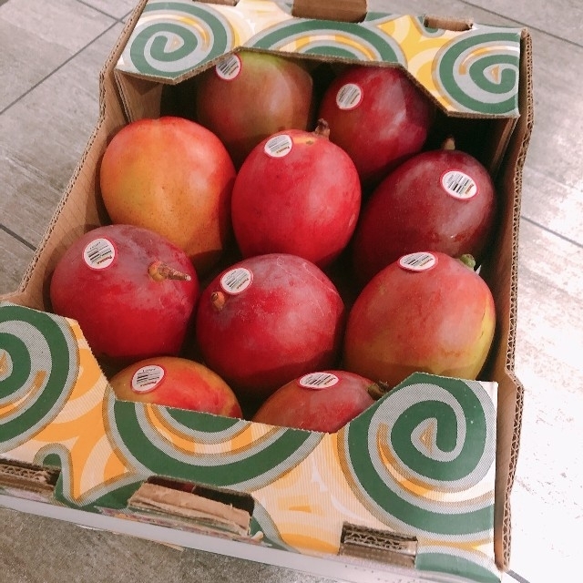 とろ甘♪ アップルマンゴー 10玉前後 4kg プリン マンゴー 生 コストコ 食品/飲料/酒の食品(フルーツ)の商品写真