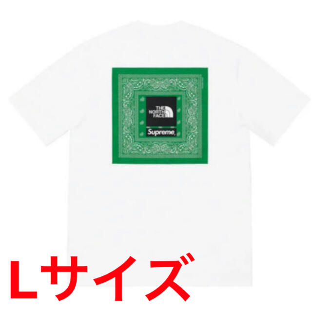 Supreme The north face Bandana tee Lサイズ